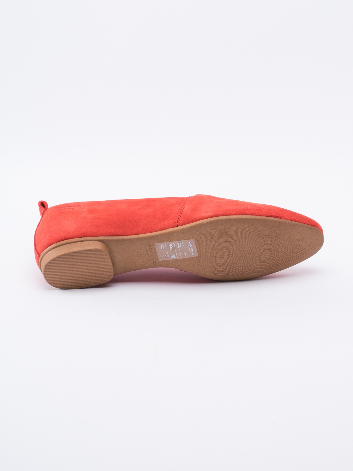08181151 M T S G 10-5