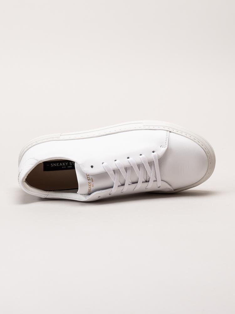 Sneaky Steve - Moore W - Vita sneakers i skinn