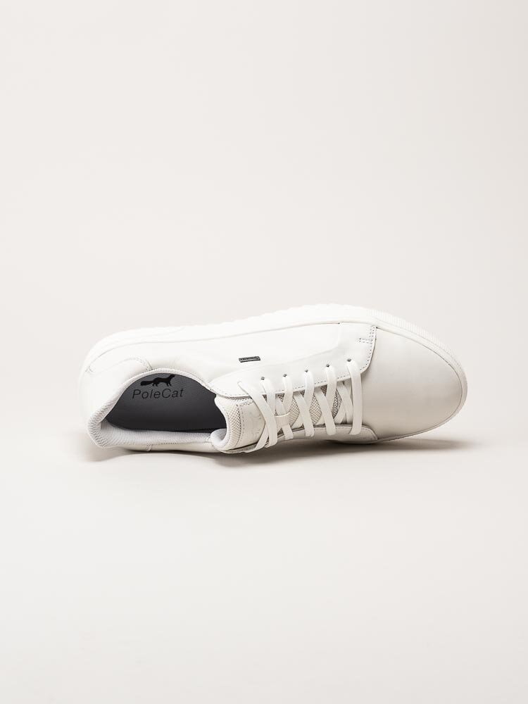 PoleCat - Rex Turin GTX - Off white skinnsneakers med Gore-Tex