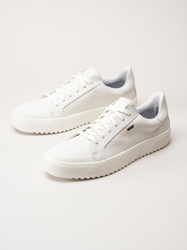 PoleCat - Rex Turin GTX - Off white skinnsneakers med Gore-Tex