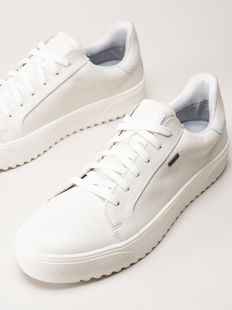 PoleCat - Rex Turin GTX - Off white skinnsneakers med Gore-Tex