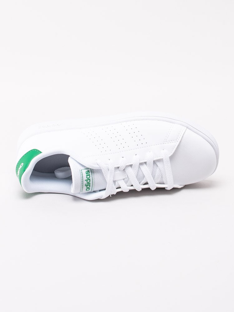 Adidas - Advantage Kids - Vita tennis sneakers för junior