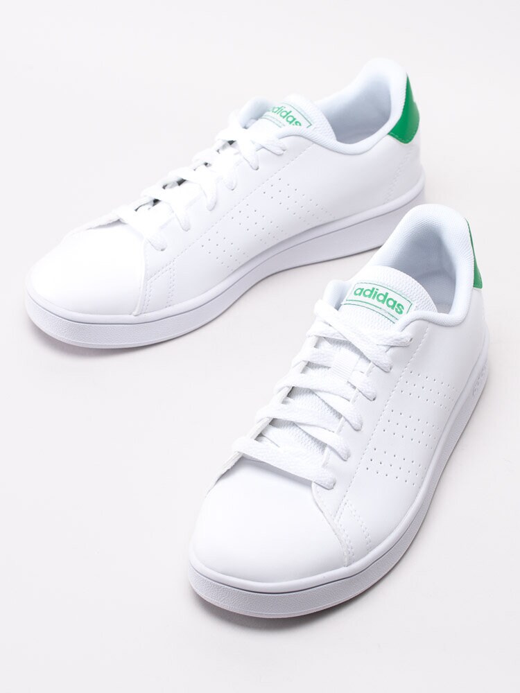 Adidas - Advantage Kids - Vita tennis sneakers för junior