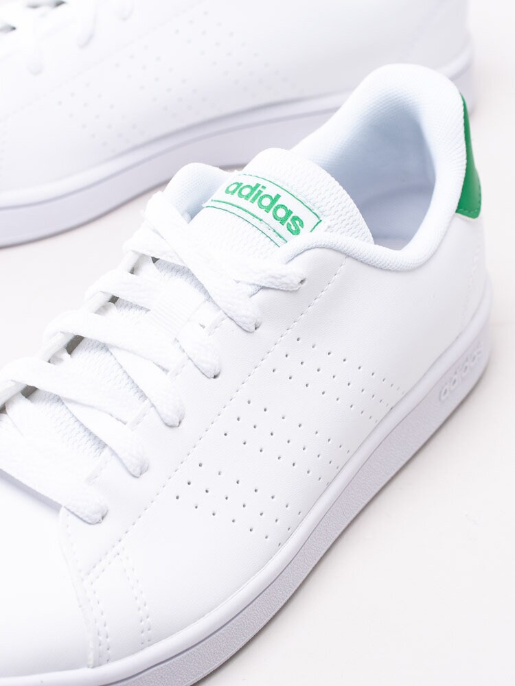 Adidas - Advantage Kids - Vita tennis sneakers för junior