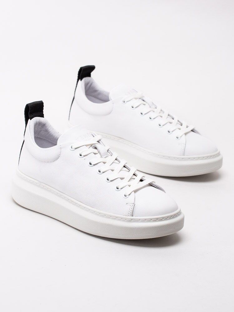 57203075 Pavement Dee 16401-030 Vita sneakers i skinn med platå-6