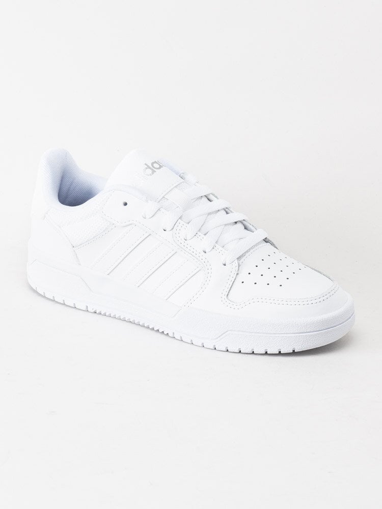 Adidas - Entrap - Vita sneakers i skinn