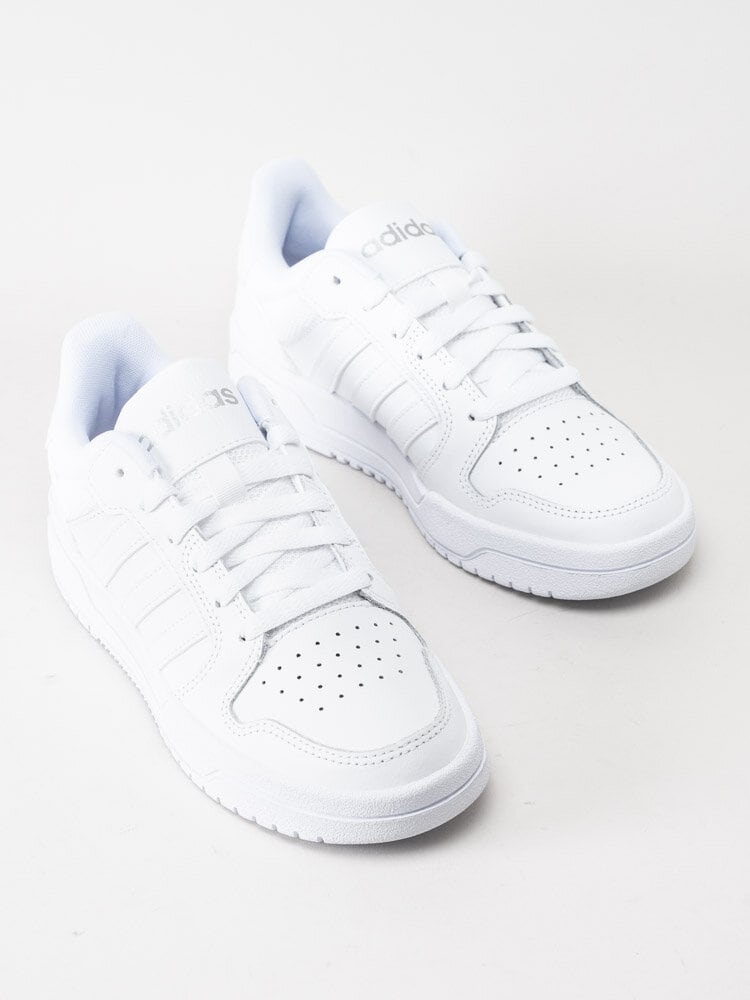 Adidas - Entrap - Vita sneakers i skinn