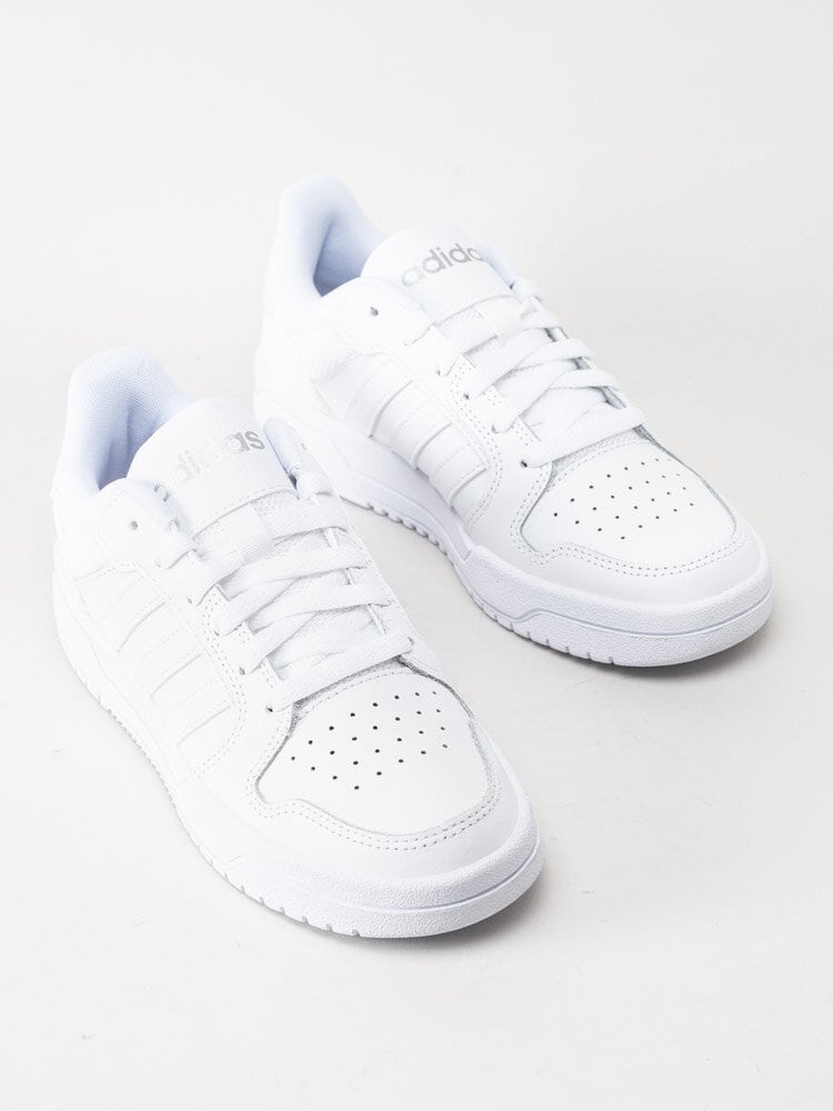Adidas - Entrap - Vita sneakers i skinn