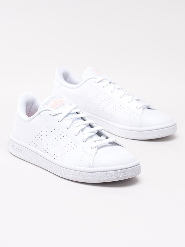 Adidas - Advantage Base - Vita stilrena sneakers med perforerade 3-stripes