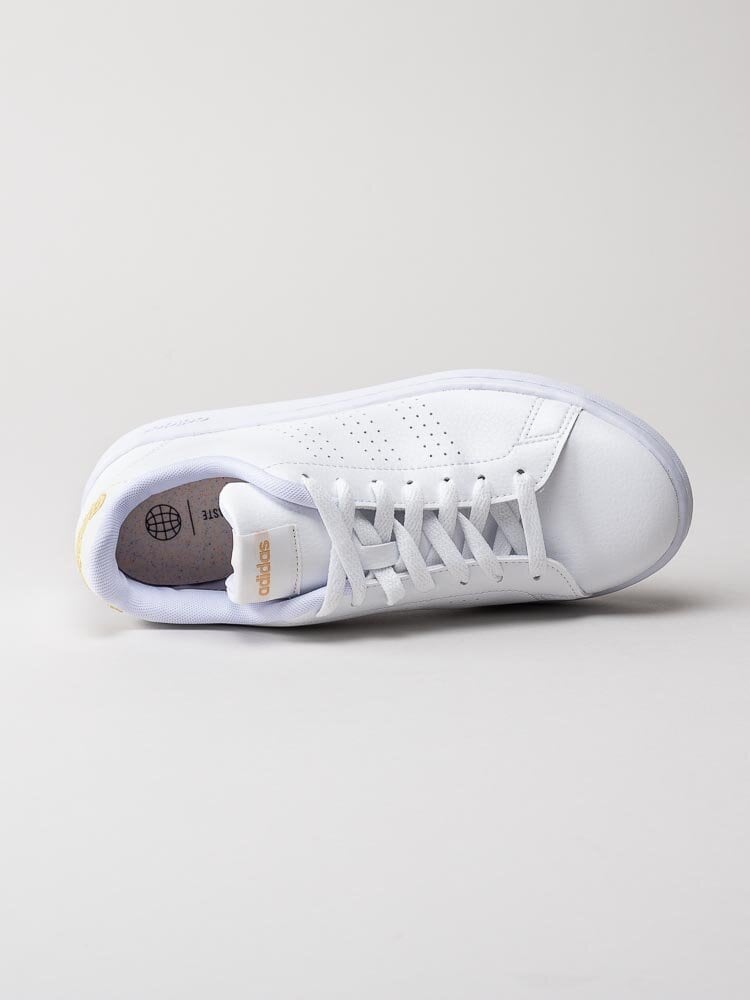 Adidas - Advantage - Vita sneakers i skinnimitation