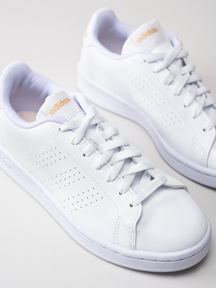 Adidas - Advantage - Vita sneakers i skinnimitation