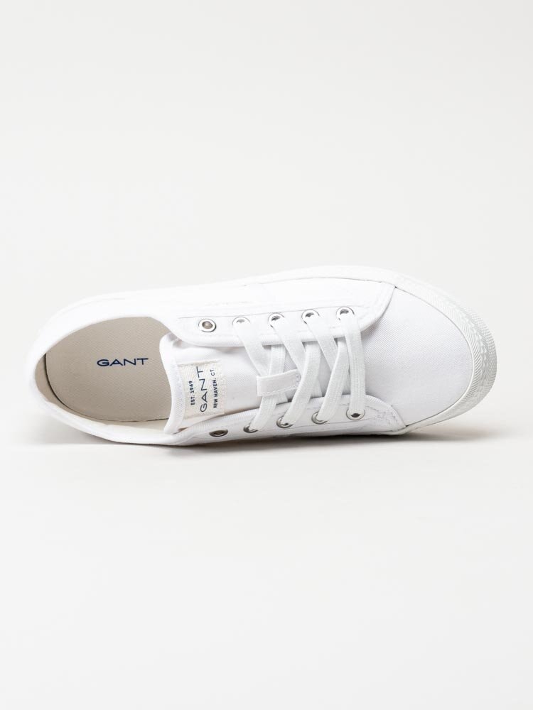 Gant Footwear - Pinestreet sneaker - Vita låga tygskor