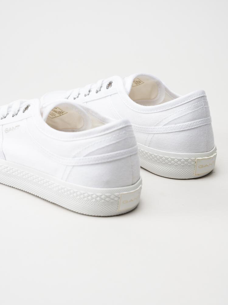 Gant Footwear - Pinestreet sneaker - Vita låga tygskor