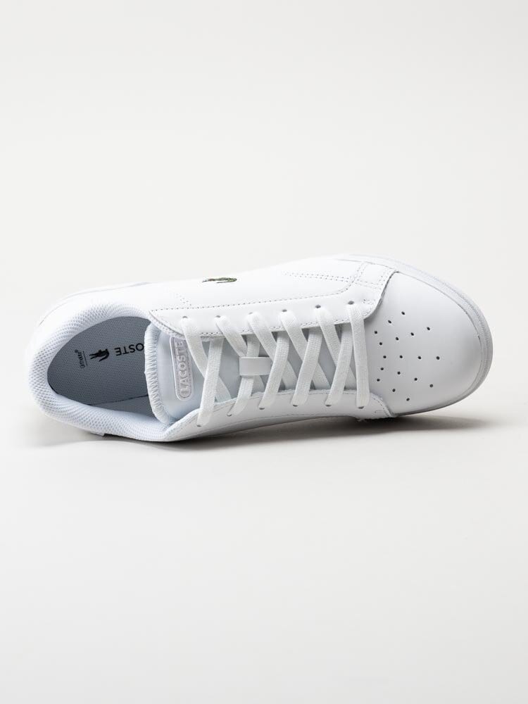 Lacoste - Twin Serve 0721 1 - Vita sneakers i skinn