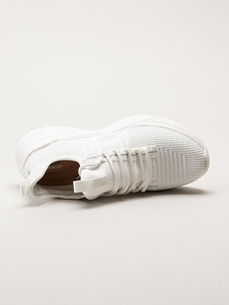 Dasia - Alain - Vita chunky sneakers