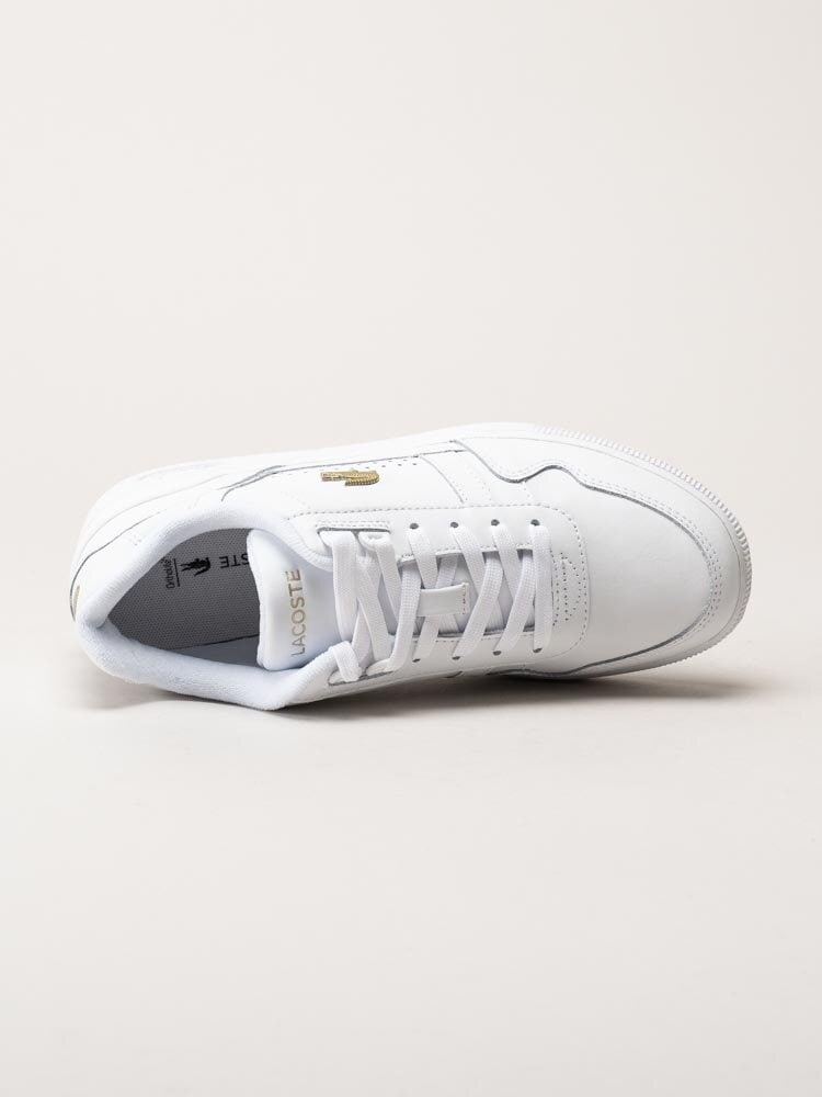 Lacoste - Vita klassiska sneakers i skinn