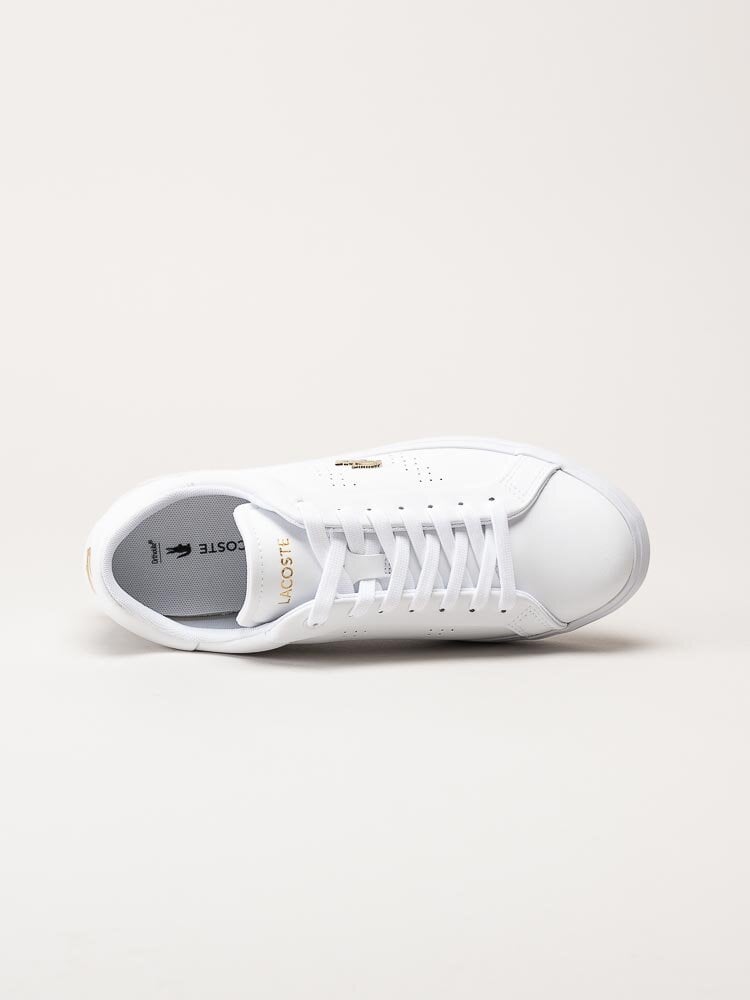 Lacoste - Powercourt - Vita sneakers med guldfärgad logga