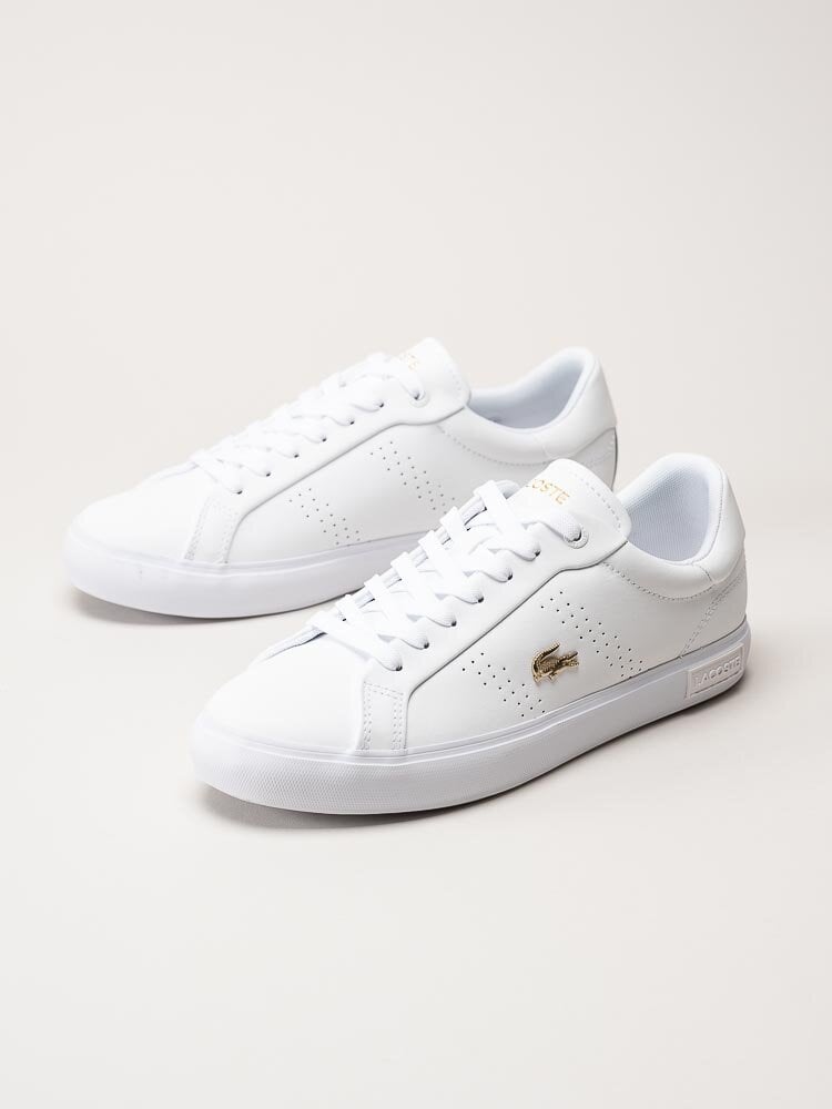 Lacoste - Powercourt - Vita sneakers med guldfärgad logga