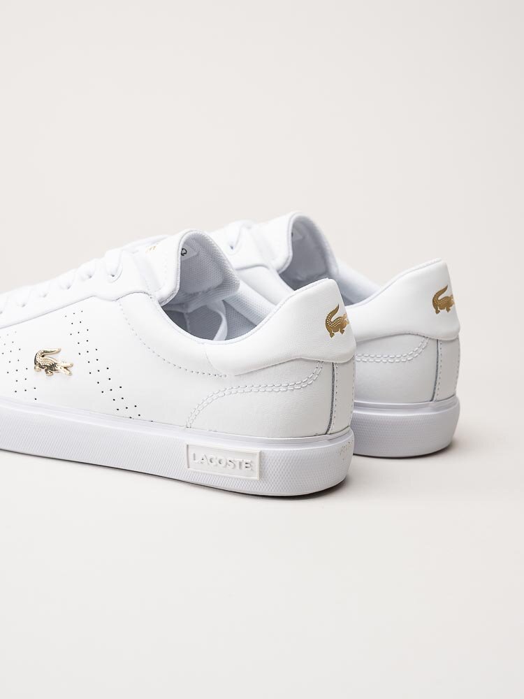 Lacoste - Powercourt - Vita sneakers med guldfärgad logga