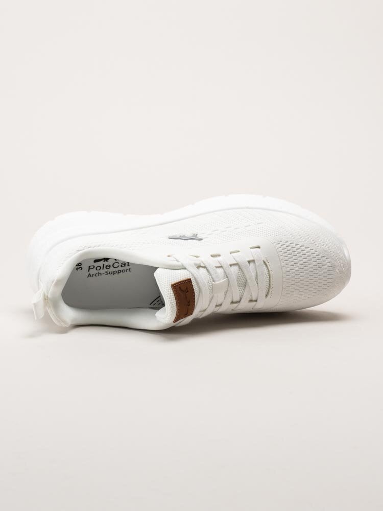 PoleCat - Arcus California - Vita sneakers i textil