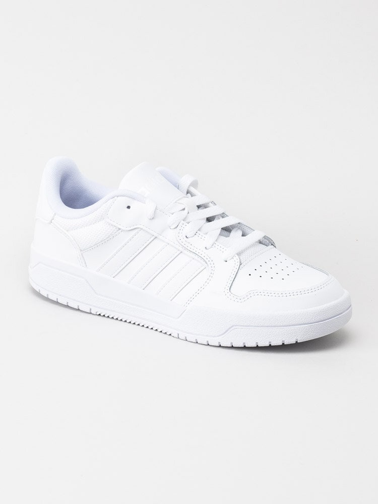 Adidas - Entrap - Vita sneakers i skinn