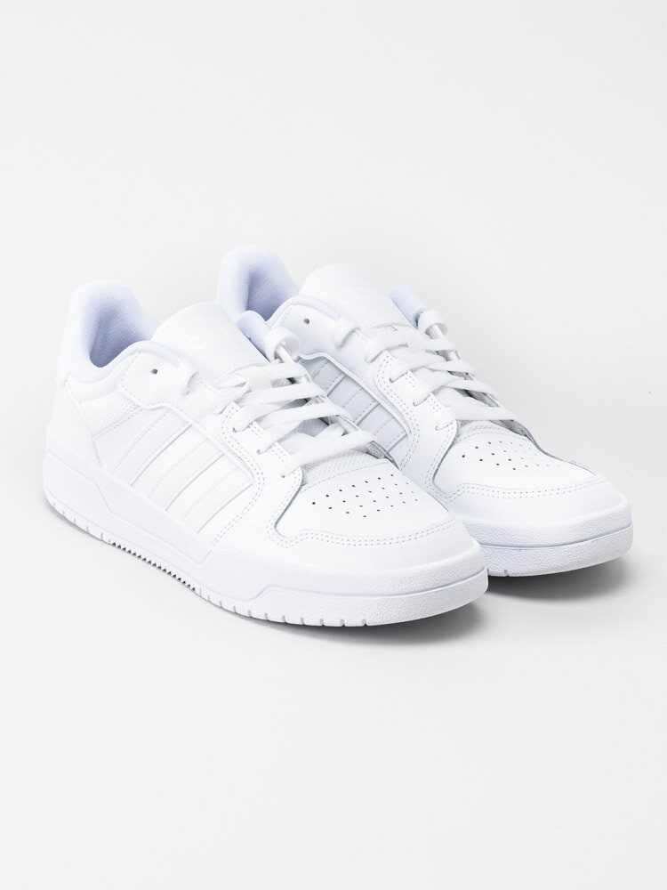 Adidas - Entrap - Vita sneakers i skinn