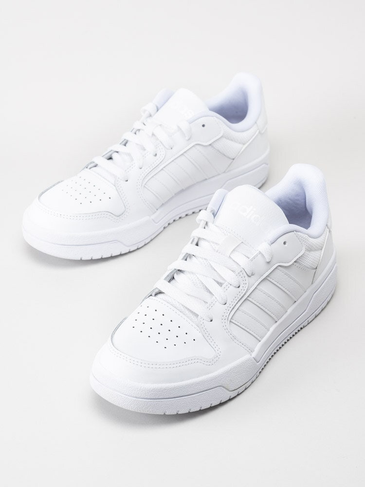 Adidas - Entrap - Vita sneakers i skinn