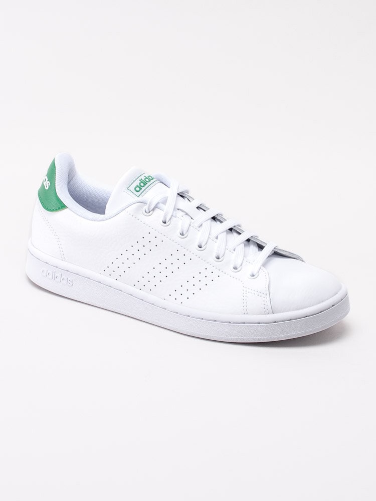 Adidas - Advantage - Vita tennis sneakers