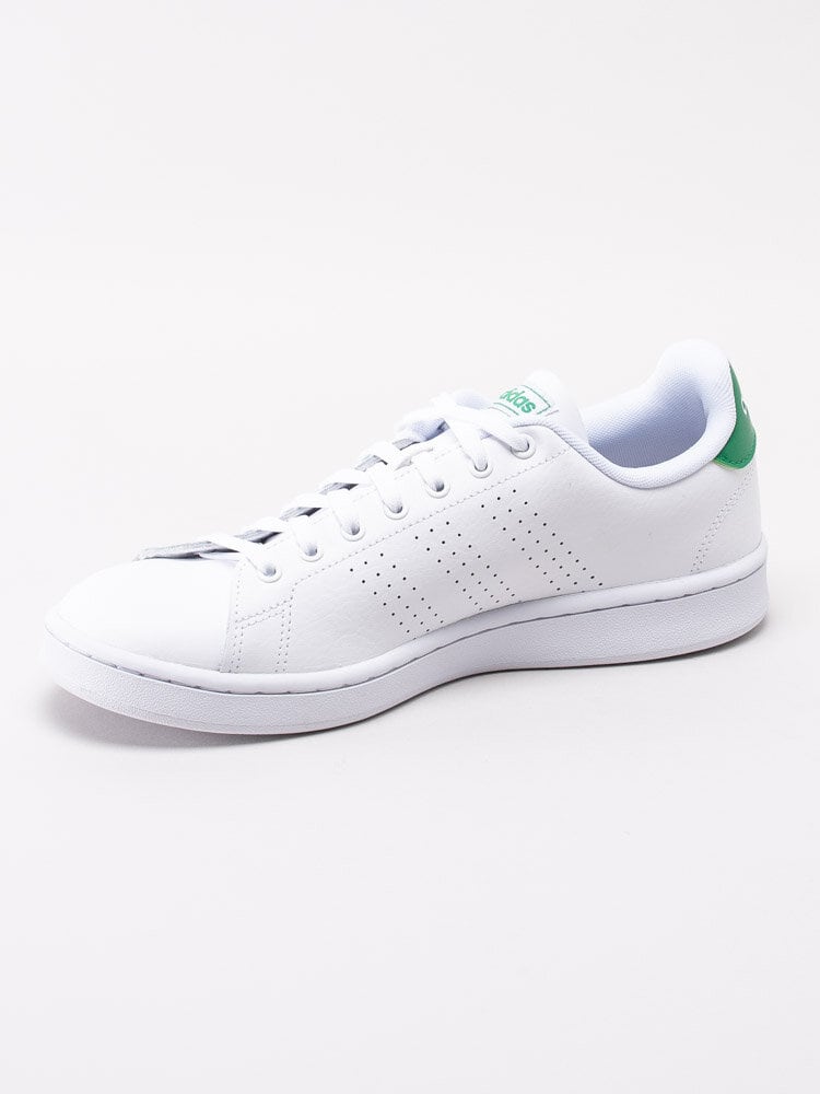 Adidas - Advantage - Vita tennis sneakers