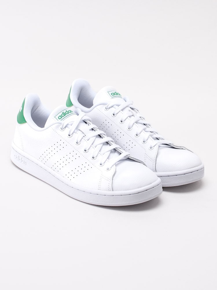 Adidas - Advantage - Vita tennis sneakers