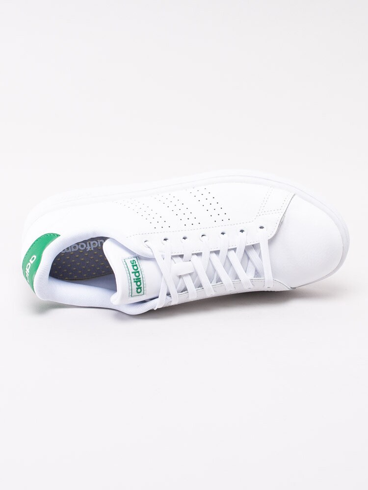 Adidas - Advantage - Vita tennis sneakers