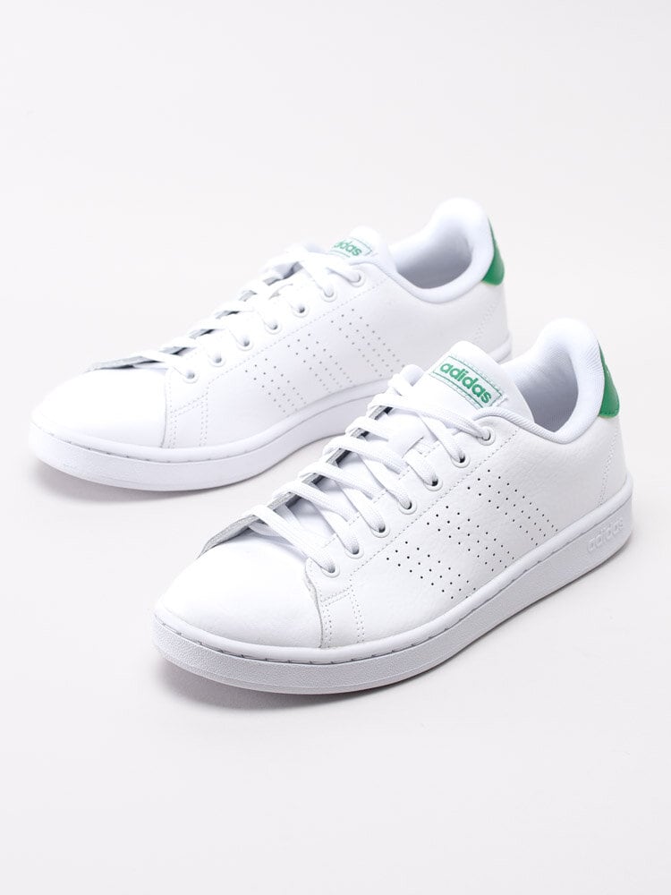 Adidas - Advantage - Vita tennis sneakers