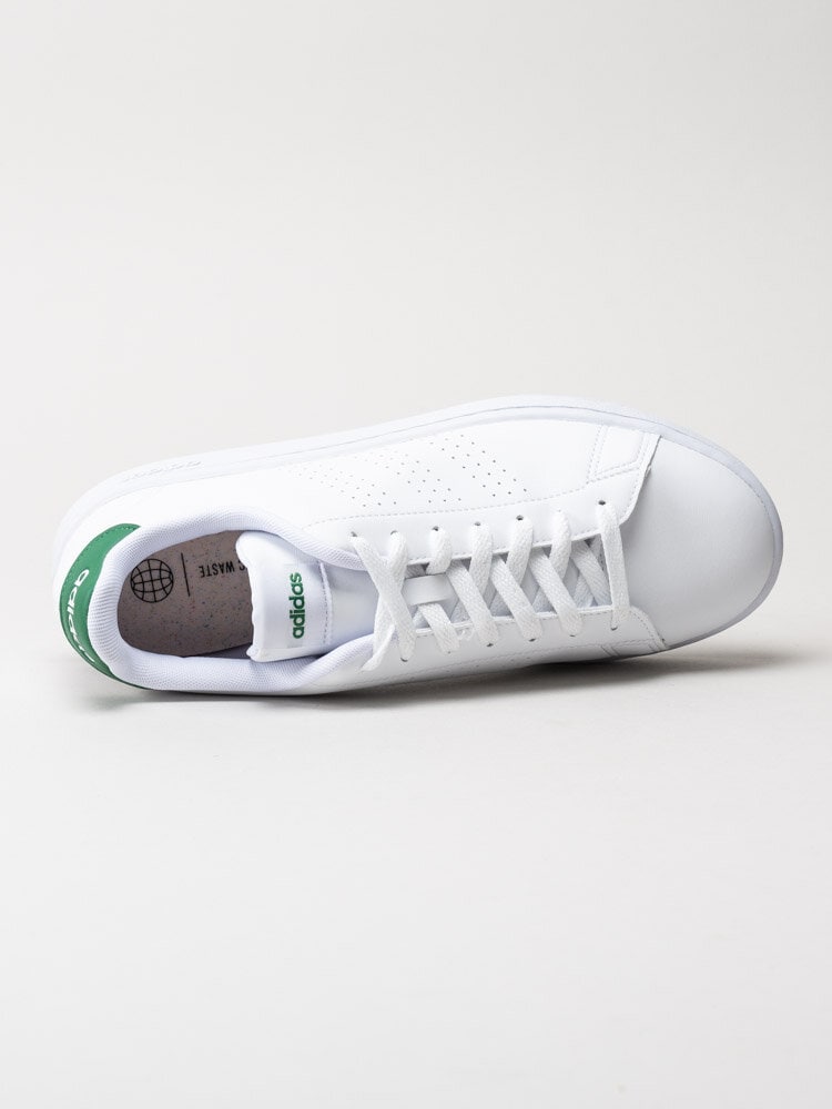 Adidas - Advantage - Vita sneakers med gröna detaljer