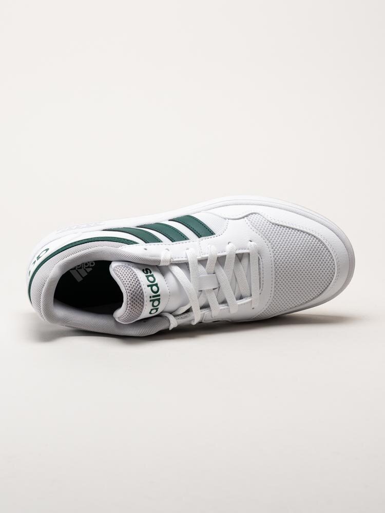 Adidas - hoops 3.0 - Vita sneakers i skinnimitation