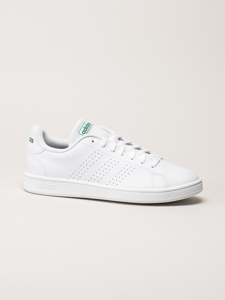 Adidas - Advantage Base - Vit tennis sneaker