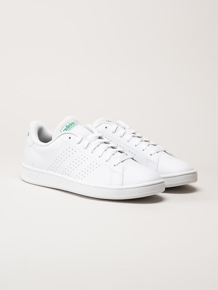 Adidas - Advantage Base - Vit tennis sneaker