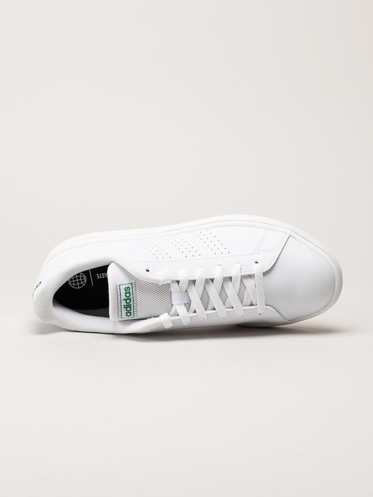 Adidas - Advantage Base - Vit tennis sneaker