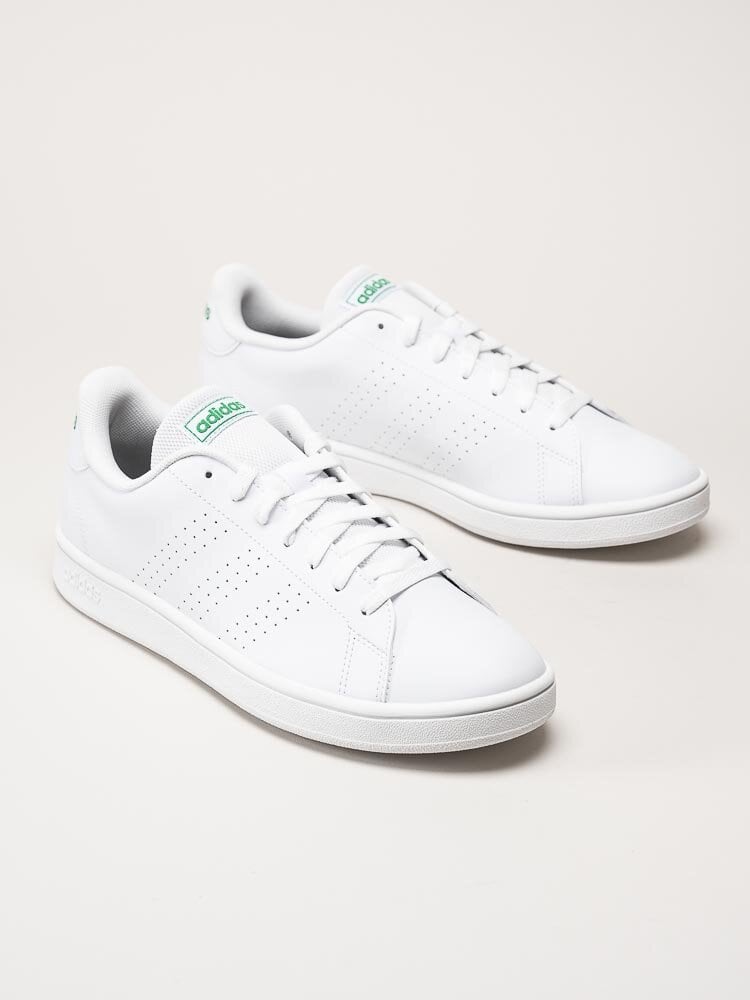 Adidas - Advantage Base - Vit tennis sneaker