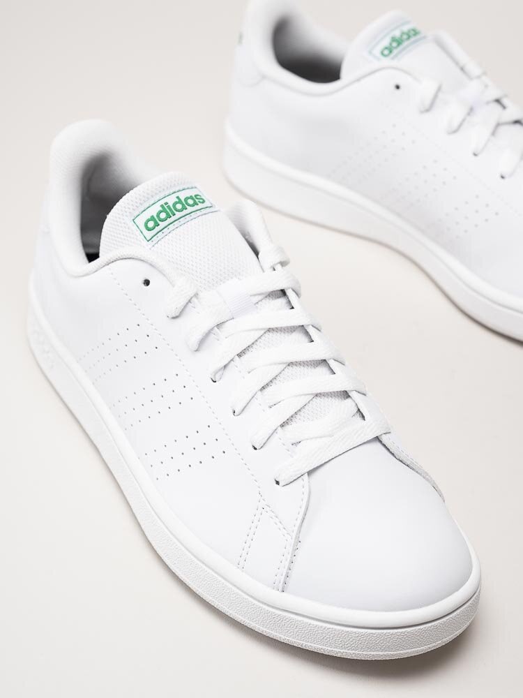 Adidas - Advantage Base - Vit tennis sneaker