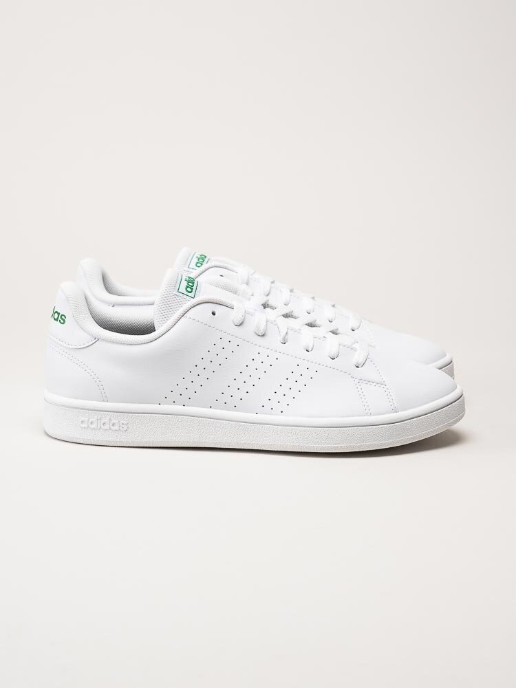 Adidas - Advantage Base - Vit tennis sneaker