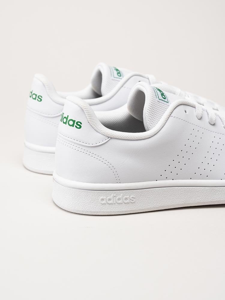 Adidas - Advantage Base - Vit tennis sneaker