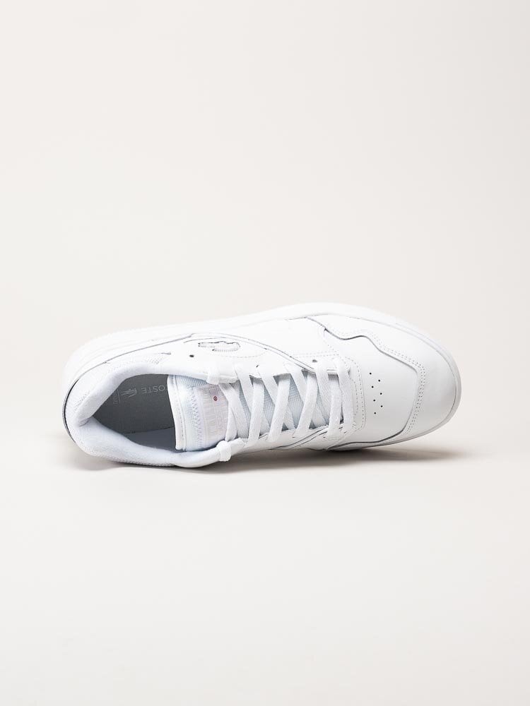 Lacoste - Vita sneakers i skinn