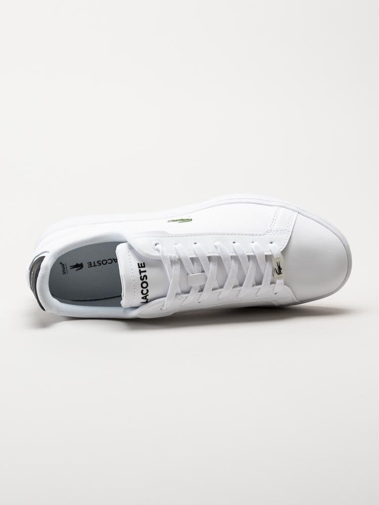 Lacoste - Carnaby Pro - Vita sneakers i skinn