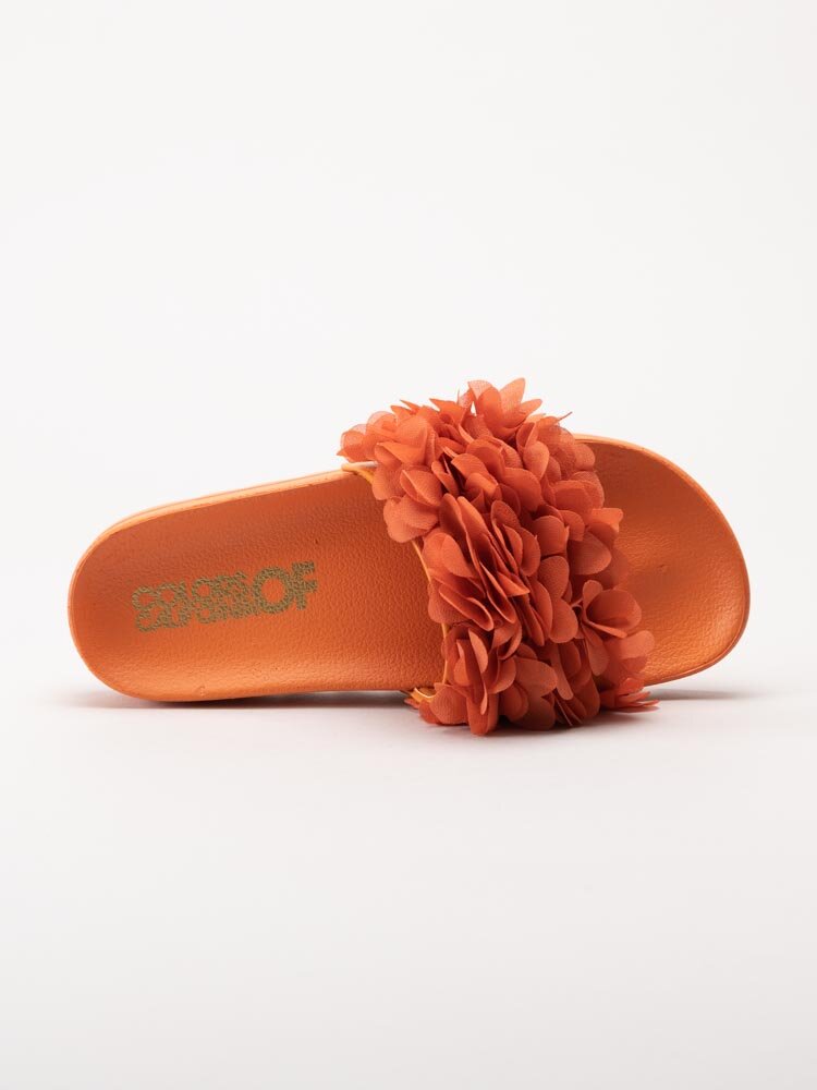 Colors of California - Orange slip in sandaler med blommotiv