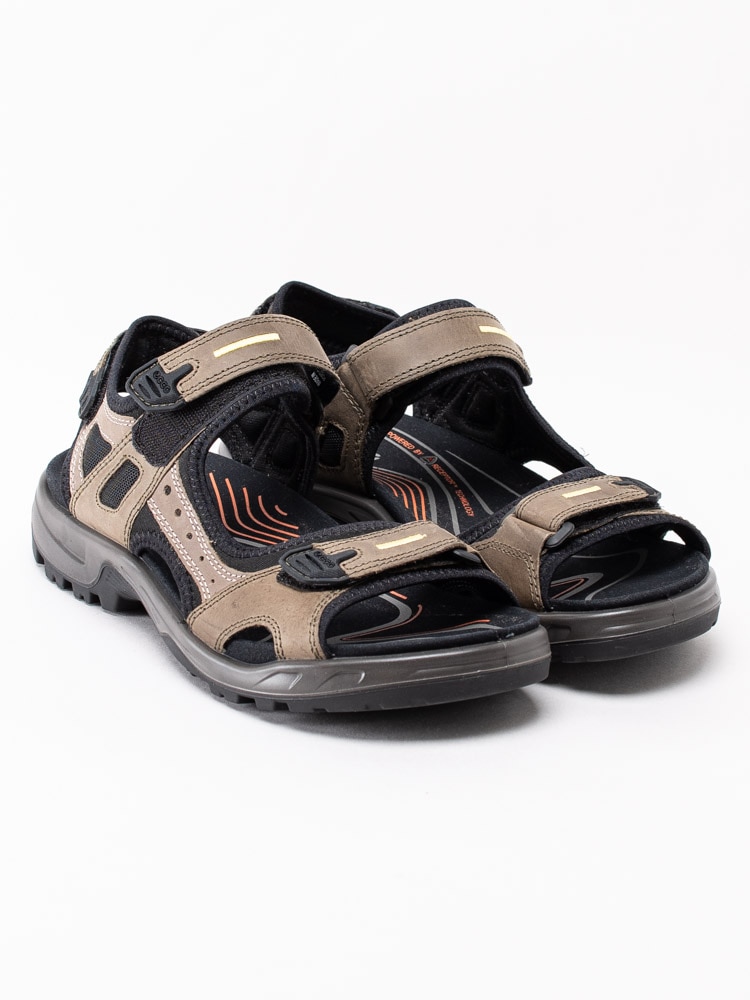 66203003 Ecco Offroad 069564-56396 Beiga vandrarsandaler för herr-3