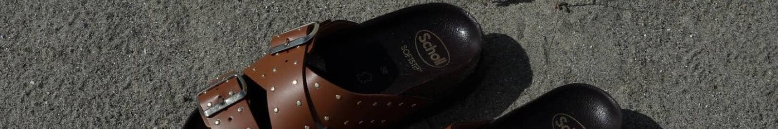 Scholl