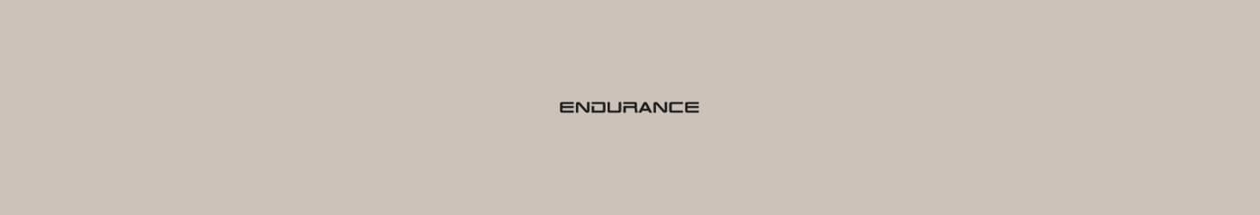 Endurance 